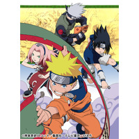 大人気アニメ「NARUTO‐ナルト‐」の第1話など厳選エピソードを無料で 画像