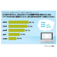 イマイチわからない「拡張子」、1位は男性「.css」女性「.aac」 ～ アイシェア調べ 画像