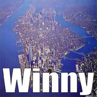 「Winny」に、4件の脆弱性が存在 ～ JPCERT/CCが使用停止を緊急呼びかけ 画像