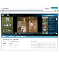 浜崎あゆみとお父さん犬が共演するソフトバンク新CMがHPで公開中 画像