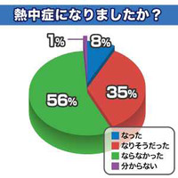 記録的な猛暑で何が変わった？　全国都道府県ランキング 画像