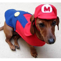 犬のコスプレ集……海外ゲームファンがハロウィン用に!! 画像
