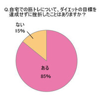 2010年に流行したと思うダイエットは？……ダイエットに関する意識調査 画像