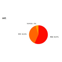 デジタル教科書導入に賛成過半数…幅広い年代に関心と理解 画像