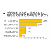 ハウス、“年末年始に役立つ英会話”を学べる専用サイトを期間限定で公開 画像