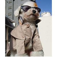 犬たちのコスプレ写真コンテスト……グランプリは“カッコカワイイ”トイプードル 画像