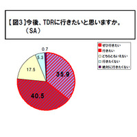 どんな時にディズニーランドに行きたい？……400人の“大人”に調査 画像