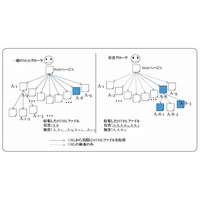 KDDI研、有害ページを効率的に自動収集するWebクローラを開発 画像