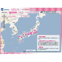 全国の桜の開花状況をリアルタイムで提供……ウェザーニューズの「SAKULiVE」 画像