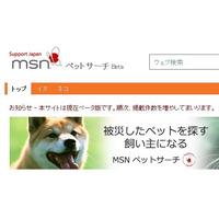 【地震】日本マイクロソフト、被災したペットを助ける「MSNペットサーチ」公開 画像