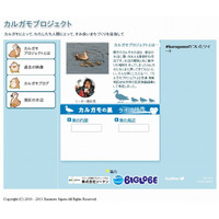 NECとBIGLOBE、インターネットでカルガモの生態を生中継……Webカメラを設置 画像