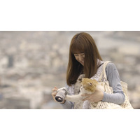 北川景子が愛猫に笑顔……新CM＆特別映像を先行公開 画像