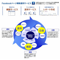 DNP子会社、企業向けFacebookページの構築・運用サービスを開始 画像