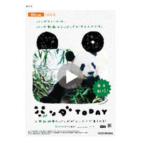 上野動物園のパンダの動画を配信する「パンダ TODAY」、パンダゆかりの地にポスターを掲出 画像
