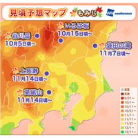 今年の紅葉の見頃時期は例年並みか 画像