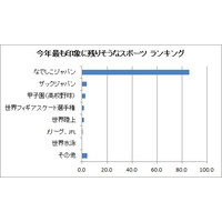 今年最も印象に残りそうな○○は？　なでしこやマツコ、AKB48らが1位に 画像