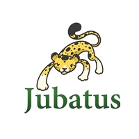 NTTとPFI社、ビッグデータのリアルタイム処理を可能にする新技術「Jubatus」を開発 画像