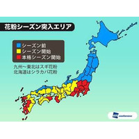 東京都、今日から本格的に花粉シーズン突入 画像