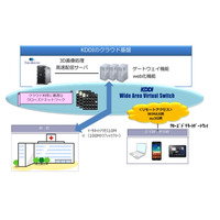 KDDIと米テラリコン、クラウド型「リアルタイム3D医用画像ソリューション」提供開始 画像