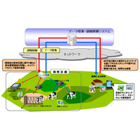 NTT西日本と九大、ICTを活用した牛放牧における遠隔地管理システムを共同研究 画像