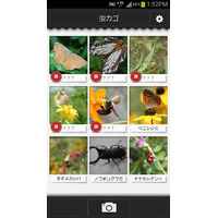 虫の写真を撮るだけで名前や特徴がわかる?!……Androidアプリ『虫判定器』 画像