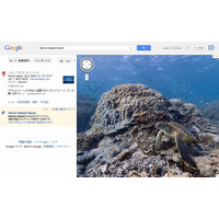 Googleストリートビュー、海中も見られるように……海ガメ、マンタ、海底の様子など 画像