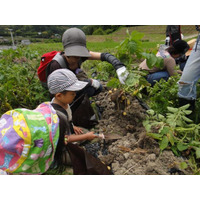 親子の食育イベント、野菜作り体験ツアーをホテル日航東京が開催 画像