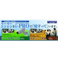 ジャイアントパンダのライブ映像を配信、パナソニックと上野動物園 画像