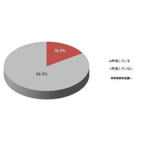 iPad・iPad mini・Nexus 7で人気は？……MMD研調べ 画像