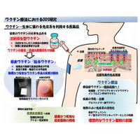 貼るインフルエンザワクチン、5年後実用化へ 画像