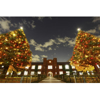 【クリスマス】立教大学でクリスマスツリー点灯式　12月4日 画像