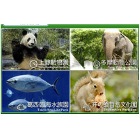 都立動物園・水族園「Visit　ほっと　Zoo　2013」…プレイベントも開催 画像