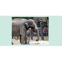 上野動物園・多摩動物園・井の頭自然文化園のイベント情報 画像