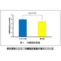 キユーピー、卵白摂取による内臓脂肪減少の可能性を示唆…学会で発表 画像