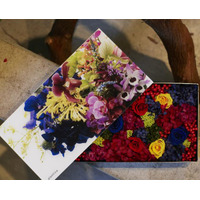 プランティカのフラワーボックスが登場、花×アート×プランピーナッツのコラボレーションイベント開催 画像