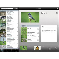 iPadで野鳥観察を楽しむ「Smart Birding 野鳥映像アーカイブス」発売 画像