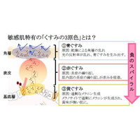 シミを目立たせる、敏感肌特有の「くすみの3原色」を発見 画像