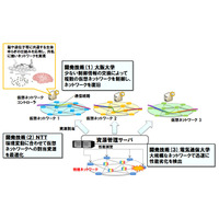 NTTら、生物の「ゆらぎ」を仮想ネットの制御に適用……大規模災害でも早期復旧 画像