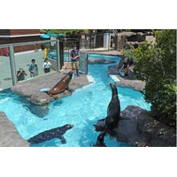 【春休み】動物園・水族園でイベント満載 画像