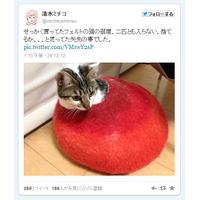 2月22日は「猫の日」、Twitterでもネコ画像が続々……「ほぼ日」はニャッ刊に 画像