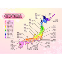 2013年の桜開花、平年並みか少し早め……都心周辺のピークは3月下旬 画像