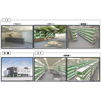 NTT西、水耕栽培によるレンタル農園「みえーるエコ畑」を開園 画像
