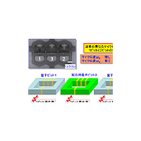 NECなど3者、「量子コンピュータ」の実現に近づく量子アルゴリズム実行が可能な回路技術を開発 画像