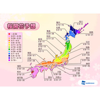 九州地方では来週にも開花へ……今年の桜開花予想、平年並みか少し早め 画像