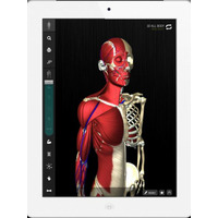 骨格の動きを忠実に再現した人体解剖アプリ 画像
