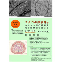 「ミクロの探検隊」参加者募集中　4月20日開催 画像