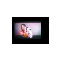 【NHK技研公開2007 Vol.4】究極の再現映像「インテグラル立体テレビ」を体験！ 画像