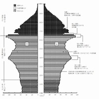 全都道府県で老年人口が年少人口を上回る 画像