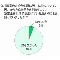 梅雨こそ、要注意！「おふろ掃除の盲点」とは？……ライオン意識調査 画像