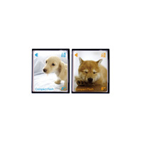 エバーグリーン、子犬の写真をラベルにした266倍速コンパクトフラッシュ 画像
